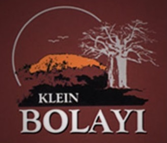 Klein Bolayi